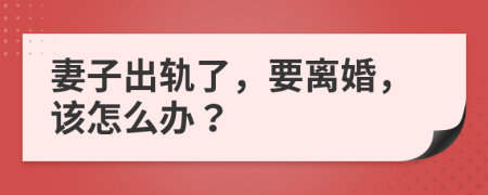 妻子出轨了，要离婚，该怎么办？