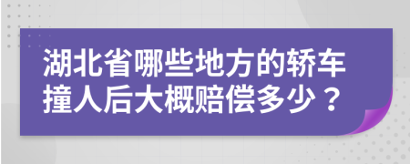 湖北省哪些地方的轿车撞人后大概赔偿多少？