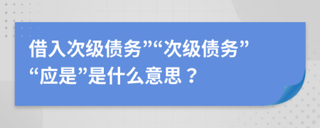 借入次级债务”“次级债务”“应是”是什么意思？