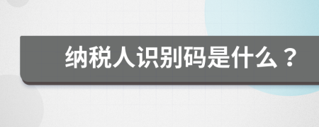 纳税人识别码是什么？