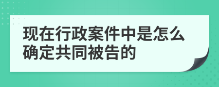 现在行政案件中是怎么确定共同被告的