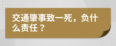 交通肇事致一死，负什么责任？