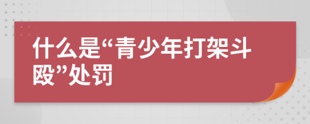 什么是“青少年打架斗殴”处罚