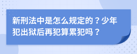 新刑法中是怎么规定的？少年犯出狱后再犯算累犯吗？