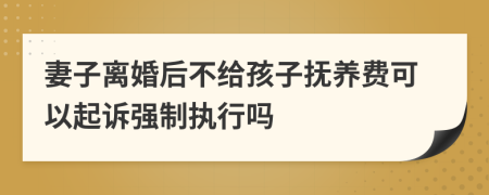 妻子离婚后不给孩子抚养费可以起诉强制执行吗