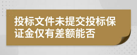 投标文件未提交投标保证金仅有差额能否