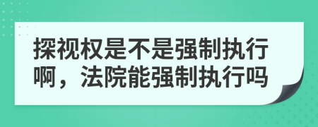 探视权是不是强制执行啊，法院能强制执行吗