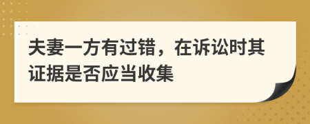 夫妻一方有过错，在诉讼时其证据是否应当收集