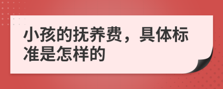 小孩的抚养费，具体标准是怎样的