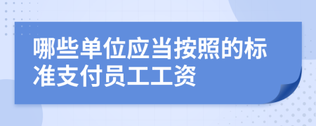 哪些单位应当按照的标准支付员工工资