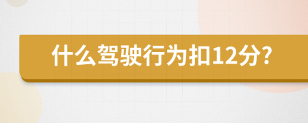 什么驾驶行为扣12分?