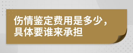 伤情鉴定费用是多少，具体要谁来承担