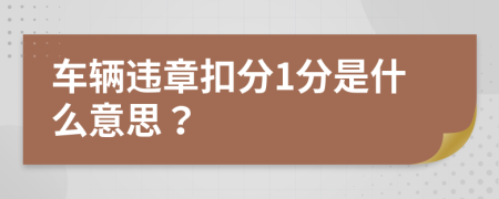 车辆违章扣分1分是什么意思？