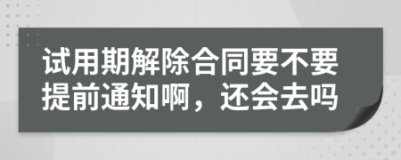 试用期解除合同要不要提前通知啊，还会去吗