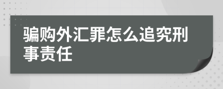 骗购外汇罪怎么追究刑事责任