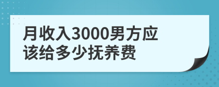 月收入3000男方应该给多少抚养费