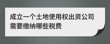 成立一个土地使用权出资公司需要缴纳哪些税费