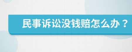 民事诉讼没钱赔怎么办？