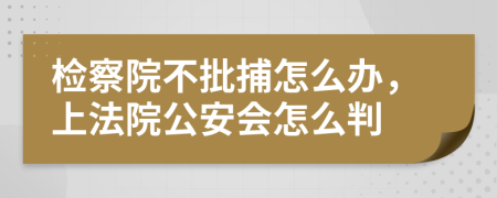 检察院不批捕怎么办，上法院公安会怎么判