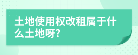 土地使用权改租属于什么土地呀?