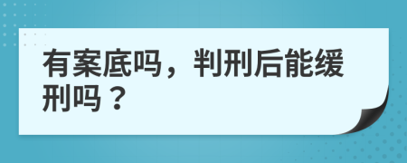 有案底吗，判刑后能缓刑吗？