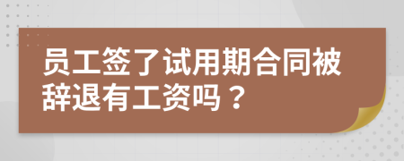 员工签了试用期合同被辞退有工资吗？