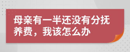 母亲有一半还没有分抚养费，我该怎么办