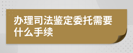 办理司法鉴定委托需要什么手续