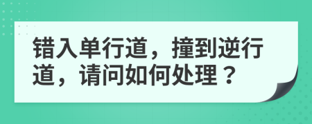 错入单行道，撞到逆行道，请问如何处理？