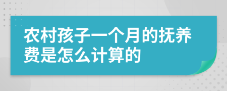 农村孩子一个月的抚养费是怎么计算的