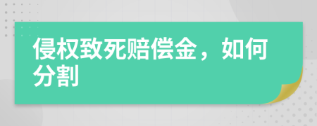 侵权致死赔偿金，如何分割