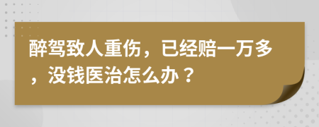 醉驾致人重伤，已经赔一万多，没钱医治怎么办？