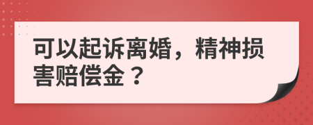 可以起诉离婚，精神损害赔偿金？