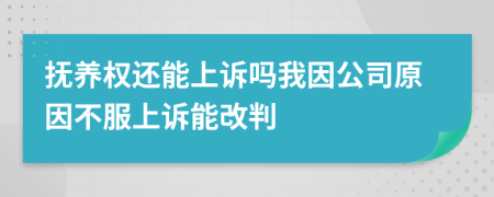 抚养权还能上诉吗我因公司原因不服上诉能改判