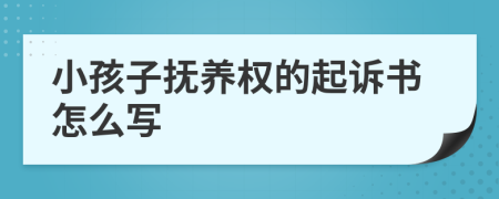 小孩子抚养权的起诉书怎么写