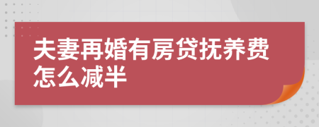 夫妻再婚有房贷抚养费怎么减半