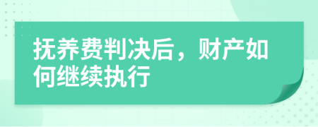 抚养费判决后，财产如何继续执行