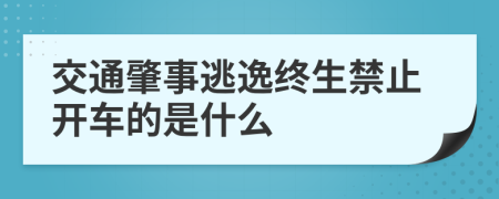 交通肇事逃逸终生禁止开车的是什么