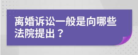 离婚诉讼一般是向哪些法院提出？