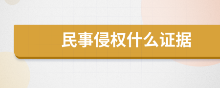 民事侵权什么证据