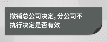 撤销总公司决定, 分公司不执行决定是否有效