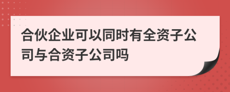 合伙企业可以同时有全资子公司与合资子公司吗