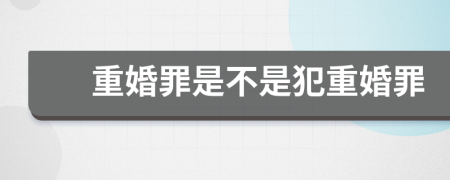 重婚罪是不是犯重婚罪