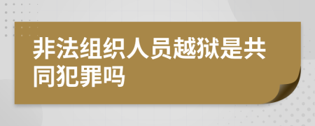 非法组织人员越狱是共同犯罪吗