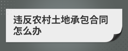 违反农村土地承包合同怎么办