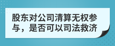 股东对公司清算无权参与，是否可以司法救济