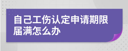 自己工伤认定申请期限届满怎么办