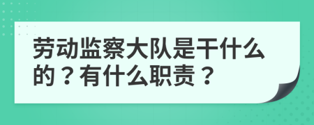 劳动监察大队是干什么的？有什么职责？