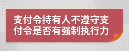 支付令持有人不遵守支付令是否有强制执行力