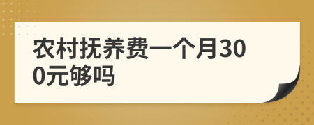 农村抚养费一个月300元够吗